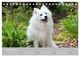 Thumbnail-13