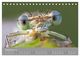 Thumbnail-14