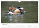 Thumbnail-13