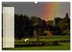 Thumbnail-8