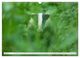 Thumbnail-11