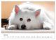 Thumbnail-12