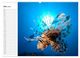 Thumbnail-8