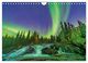 Thumbnail-11