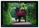 Thumbnail-10
