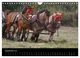 Thumbnail-14