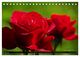 Thumbnail-9