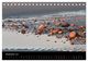 Thumbnail-14