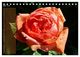Thumbnail-10