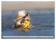 Thumbnail-11