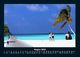 Thumbnail-12