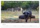 Thumbnail-12