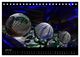 Thumbnail-11
