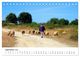 Thumbnail-14