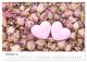 Thumbnail-14