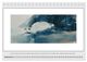 Thumbnail-14