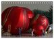 Thumbnail-14