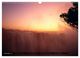 Thumbnail-14