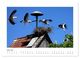 Thumbnail-11
