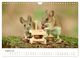 Thumbnail-10