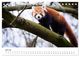 Thumbnail-12
