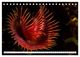 Thumbnail-11