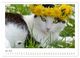Thumbnail-9