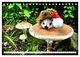 Thumbnail-14