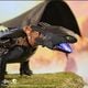 Thumbnail-8