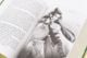 Thumbnail-11