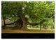Thumbnail-8