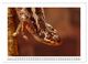 Thumbnail-14