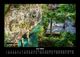 Thumbnail-10