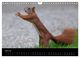Thumbnail-9