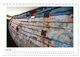 Thumbnail-12