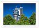 Thumbnail-11