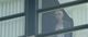Thumbnail-11