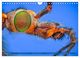Thumbnail-10