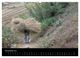 Thumbnail-13