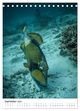 Thumbnail-11
