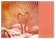 Thumbnail-12