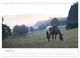 Thumbnail-13