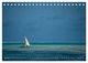 Thumbnail-11