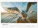 Thumbnail-10
