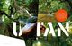 Thumbnail-14