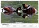 Thumbnail-10