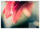 Thumbnail-10