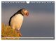 Thumbnail-10