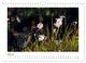 Thumbnail-11
