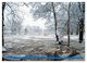 Thumbnail-14